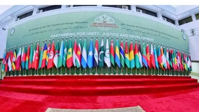 او آئی سی اجلاس میں پاکستان کا لبنان پر اسرائیلی حملوں کی شدید مذمت، فوری جنگ بندی مطالبہ